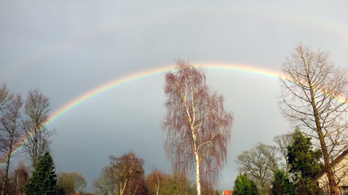 Regenbogen_Birkenstrasse