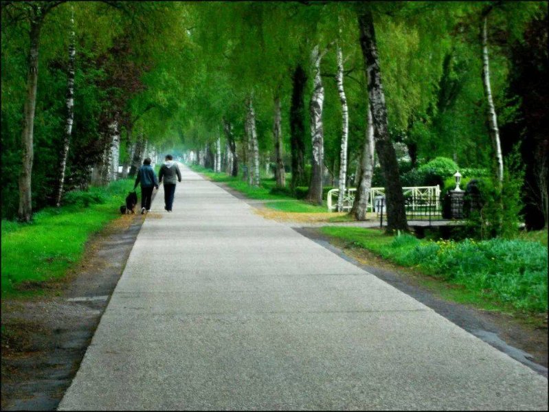 Gemühtlicher Spaziergang auf der Birkenstrasse