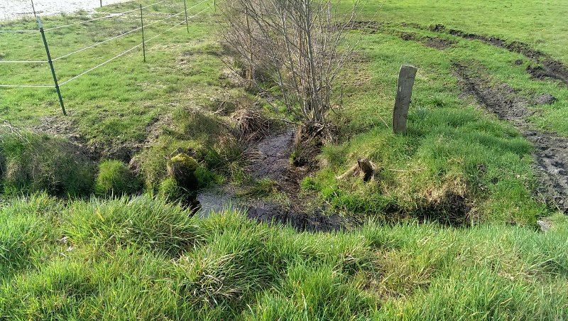 Wertvolle Biotope