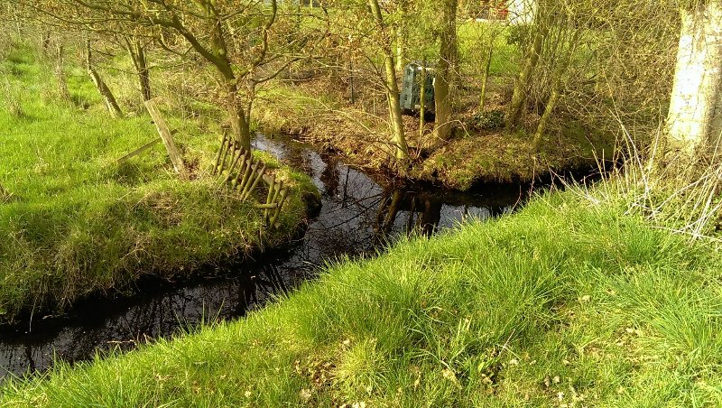 Wertvolle Biotope