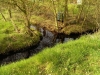 Wertvolle Biotope