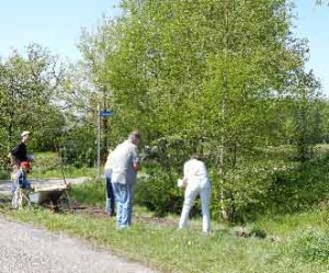 landschaften_b